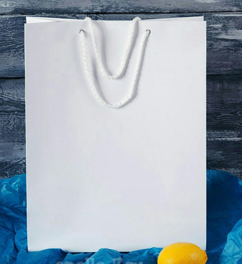 Пакет бумажный белый 24*35*10 см (под А4)